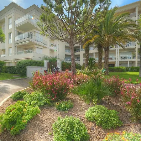 Apartment Immogroom - Sea View - Terrace- Swimming-pool 1 Min From The Cannes