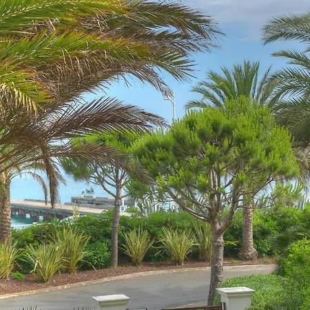 Apartment Immogroom - Sea View - Terrace- Swimming-pool 1 Min From The